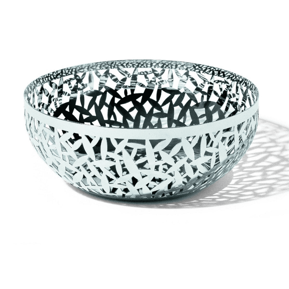 Cactus! Basket/bowl
