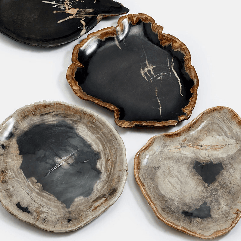 Balfern Petrified Wood Serving Board