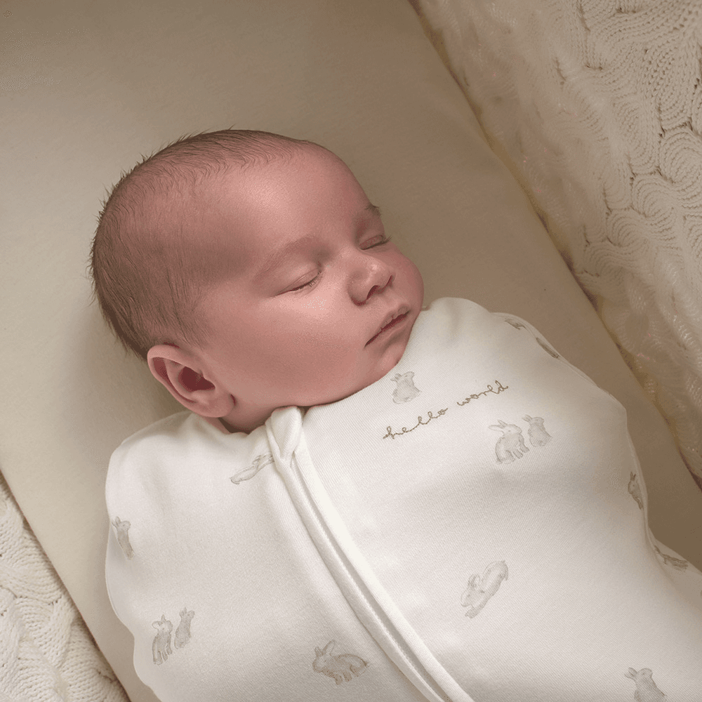 Dreampod Swaddle 1.0 TOG