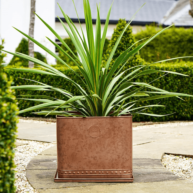 Kew Temperate House Regency Outdoor Planter, Copper