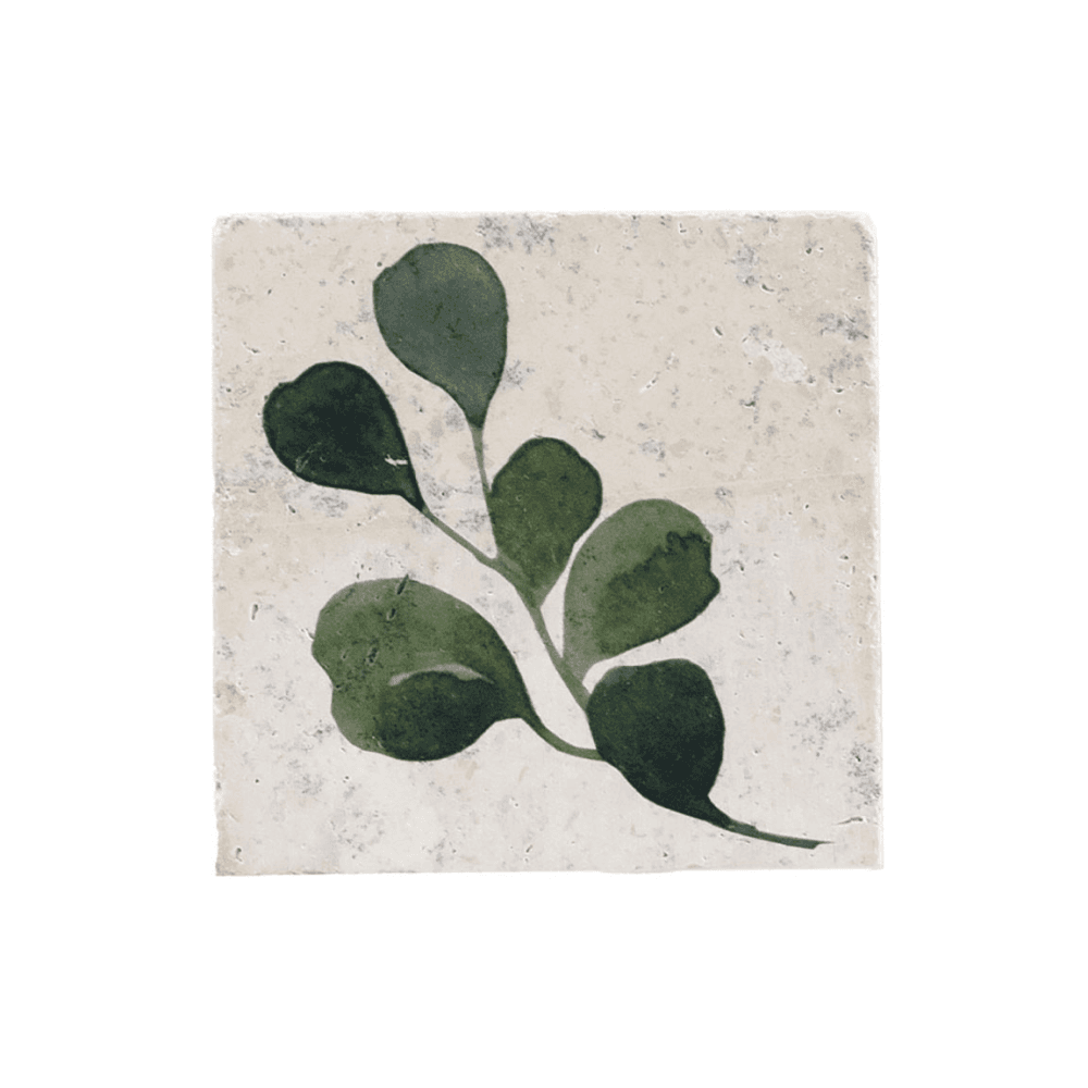 Flora Set of 4 Coasters, Green