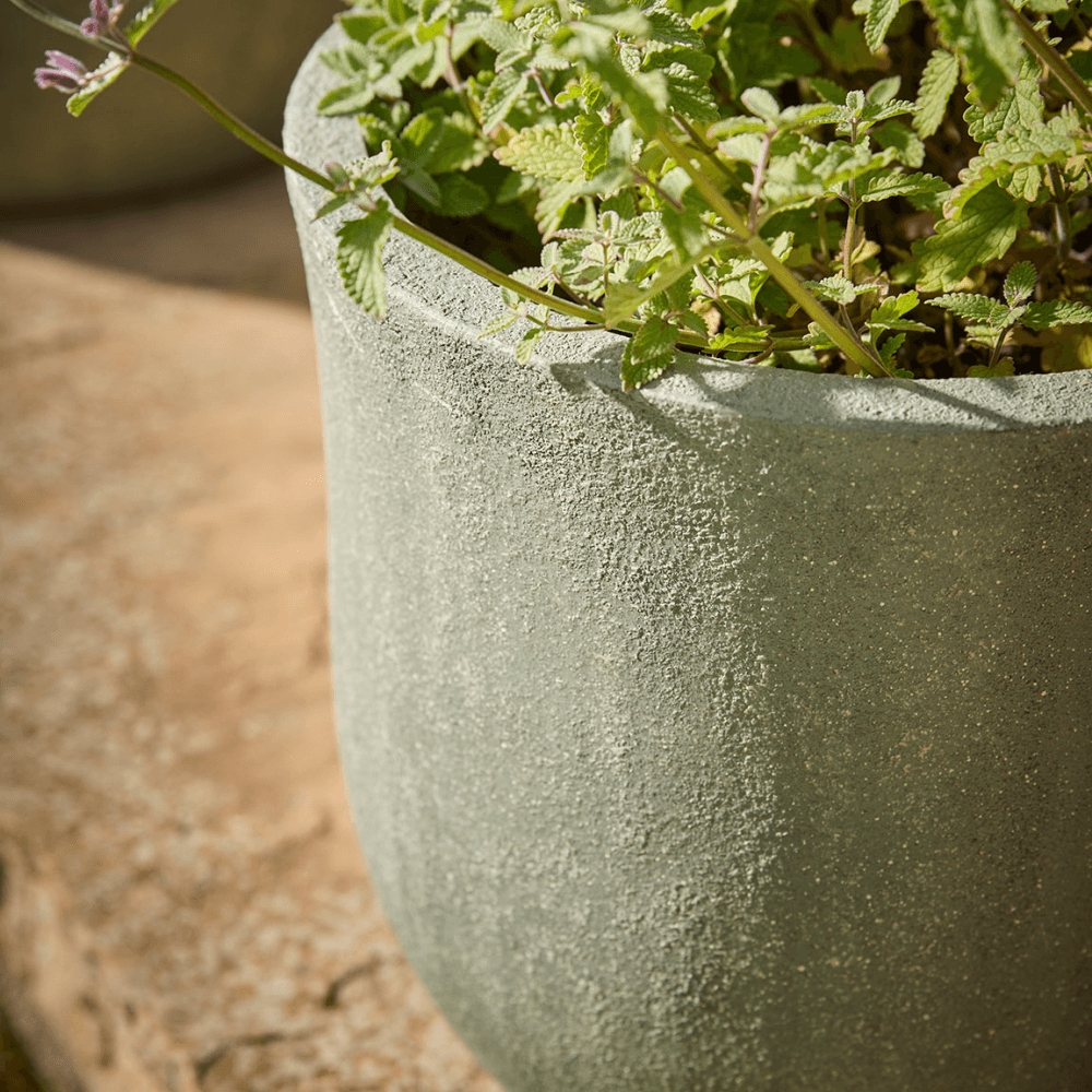Budra Set of 3 Curved Planters