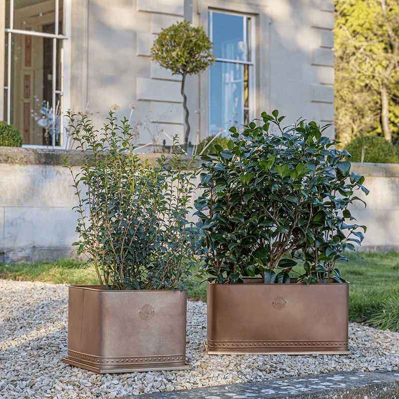 Kew Temperate House Regency Outdoor Planter, Copper