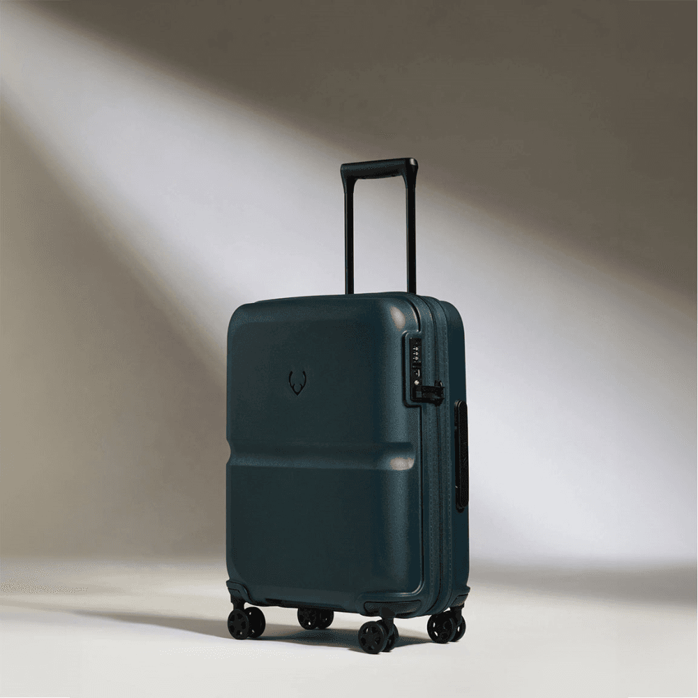 Single Stripe Cabin Suitcase