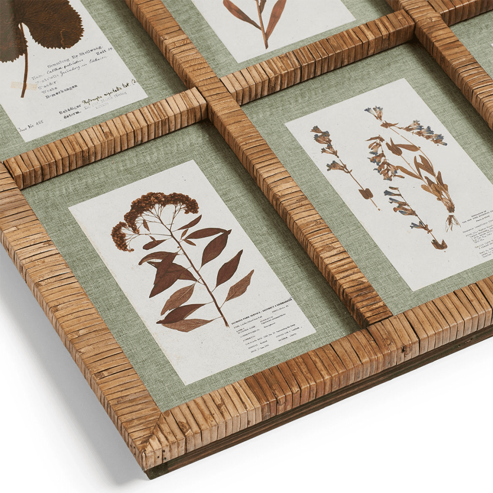 Flores Rattan Framed Floral Prints, Natural