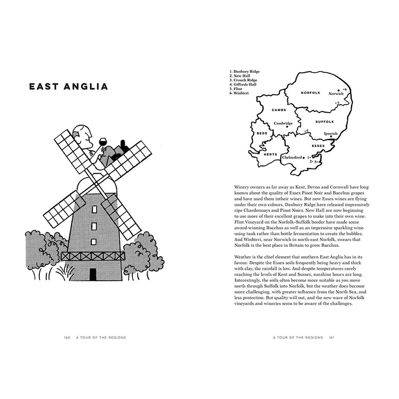 English Wine: The Ultimate Guide To Discovering English Wine