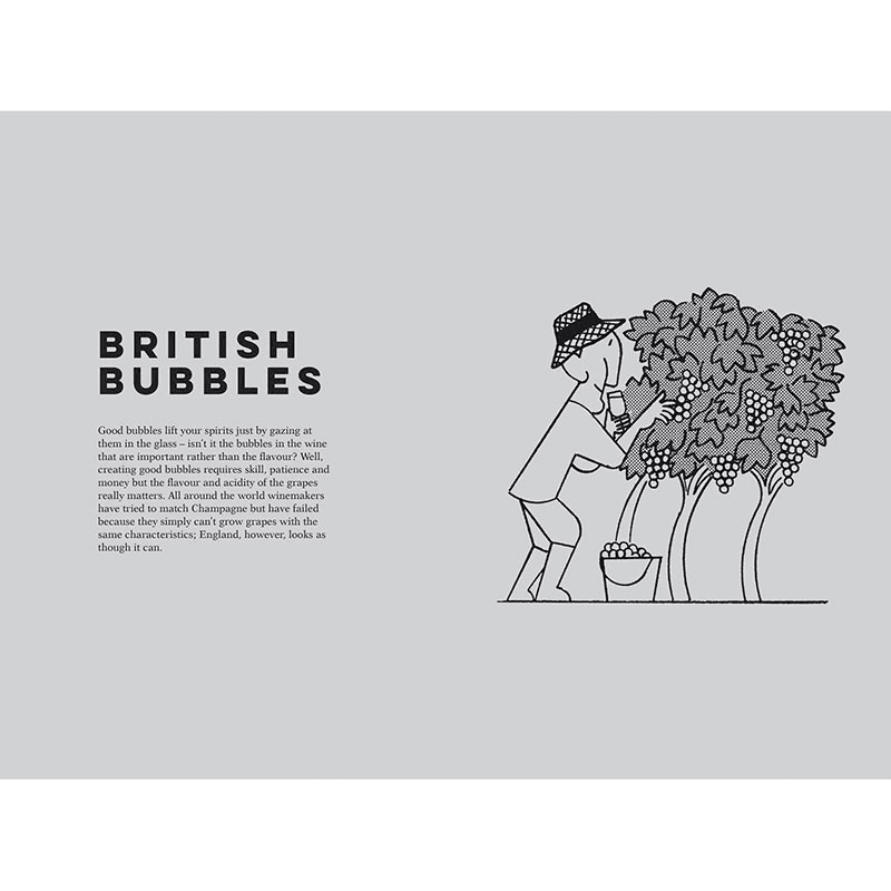English Wine: The Ultimate Guide To Discovering English Wine