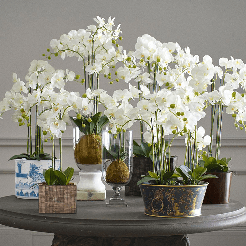 Faux Planted Phalaenopsis Orchid, white