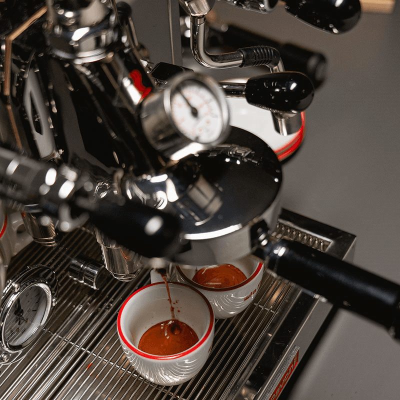 Botticelli Evolution Coffee Machine, Stainless Steel