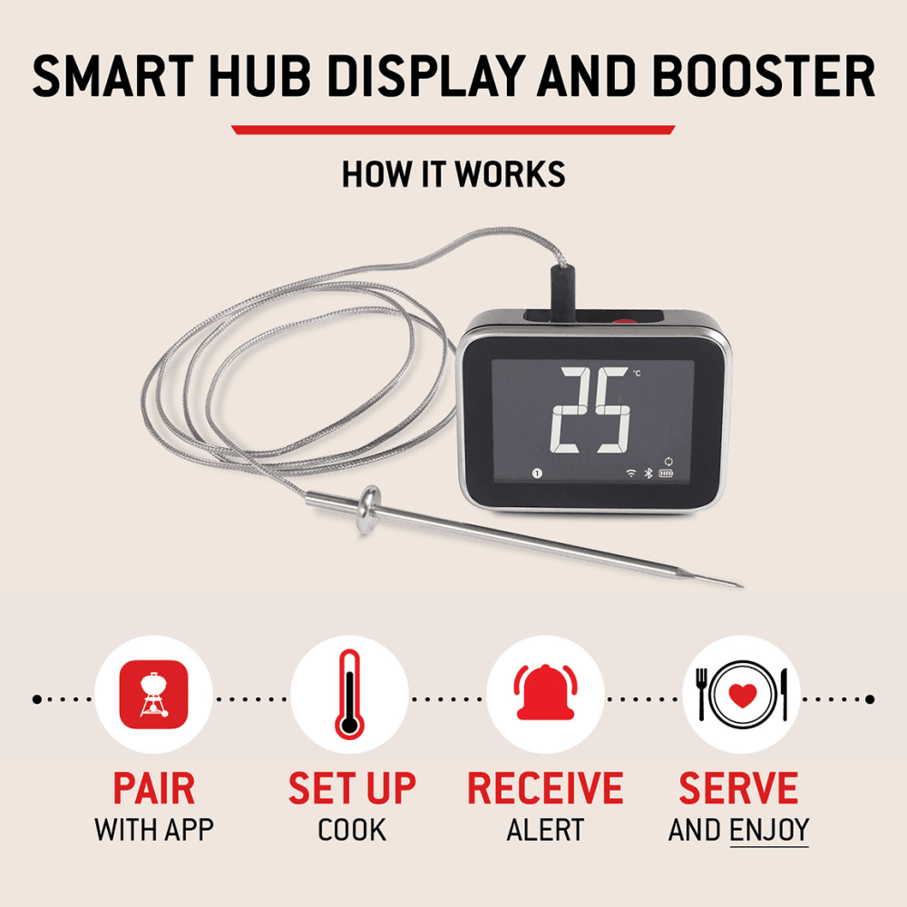 Wired 2 Probe Display Thermometer