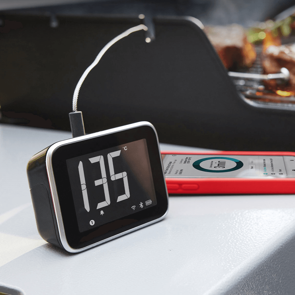 Wired 2 Probe Display Thermometer