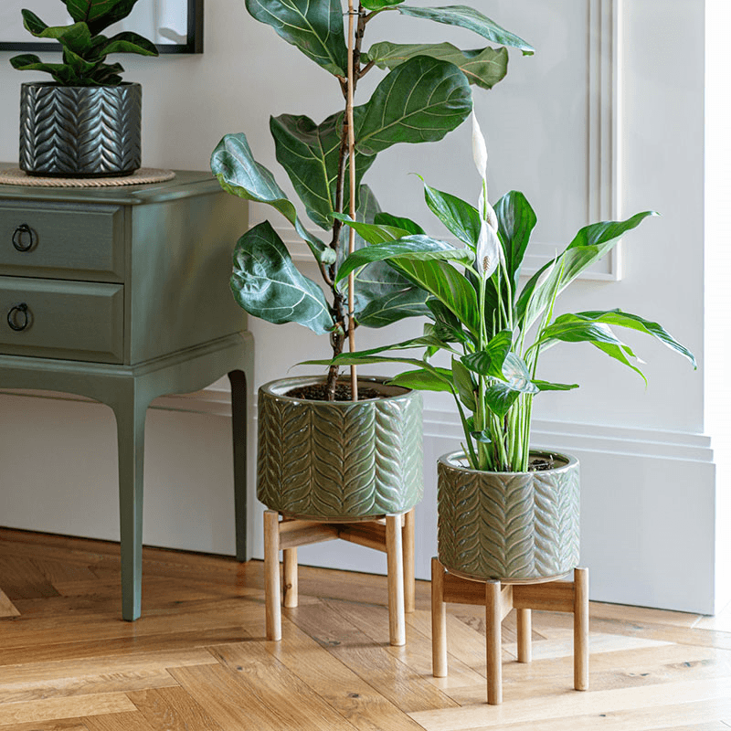 Aspen Planter