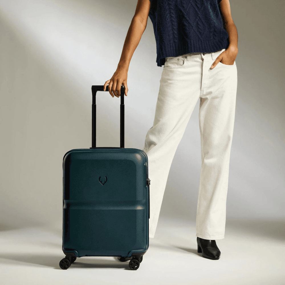 Single Stripe Cabin Suitcase